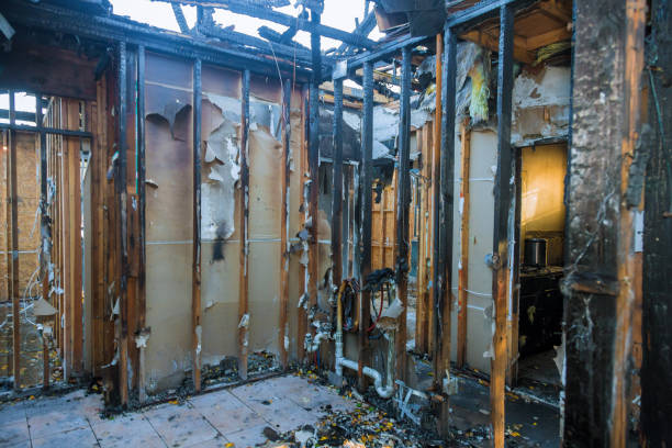 Professional Soot Cleanup technician working in Pomona Park, FL